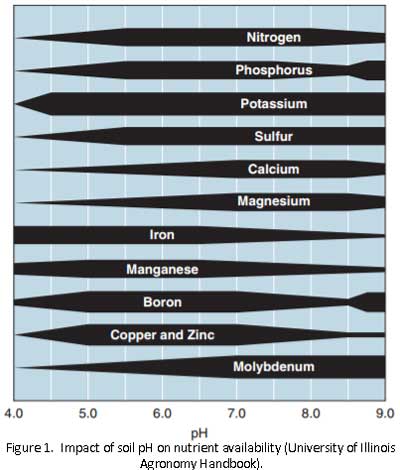 Fig1-Soil-pH.jpg Fig1-Soil-pH.jpg
